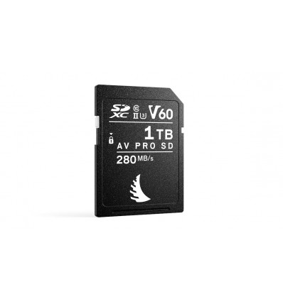 ANGELBIRD AV PRO SD MK2 1TB V60