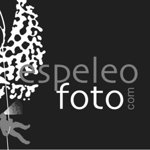 Robisa se convierte en el distribuidor oficial de la marca fotográfica  AgfaPhoto en España y Portugal. - ROBISA